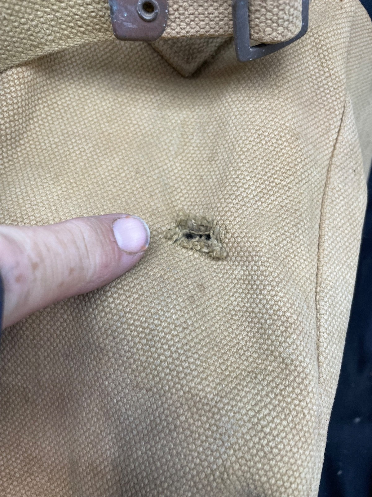 Image #8