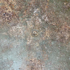 Image #12