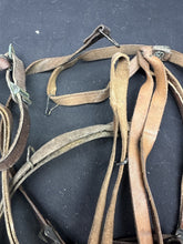 Charger l'image dans la galerie, Image #13
