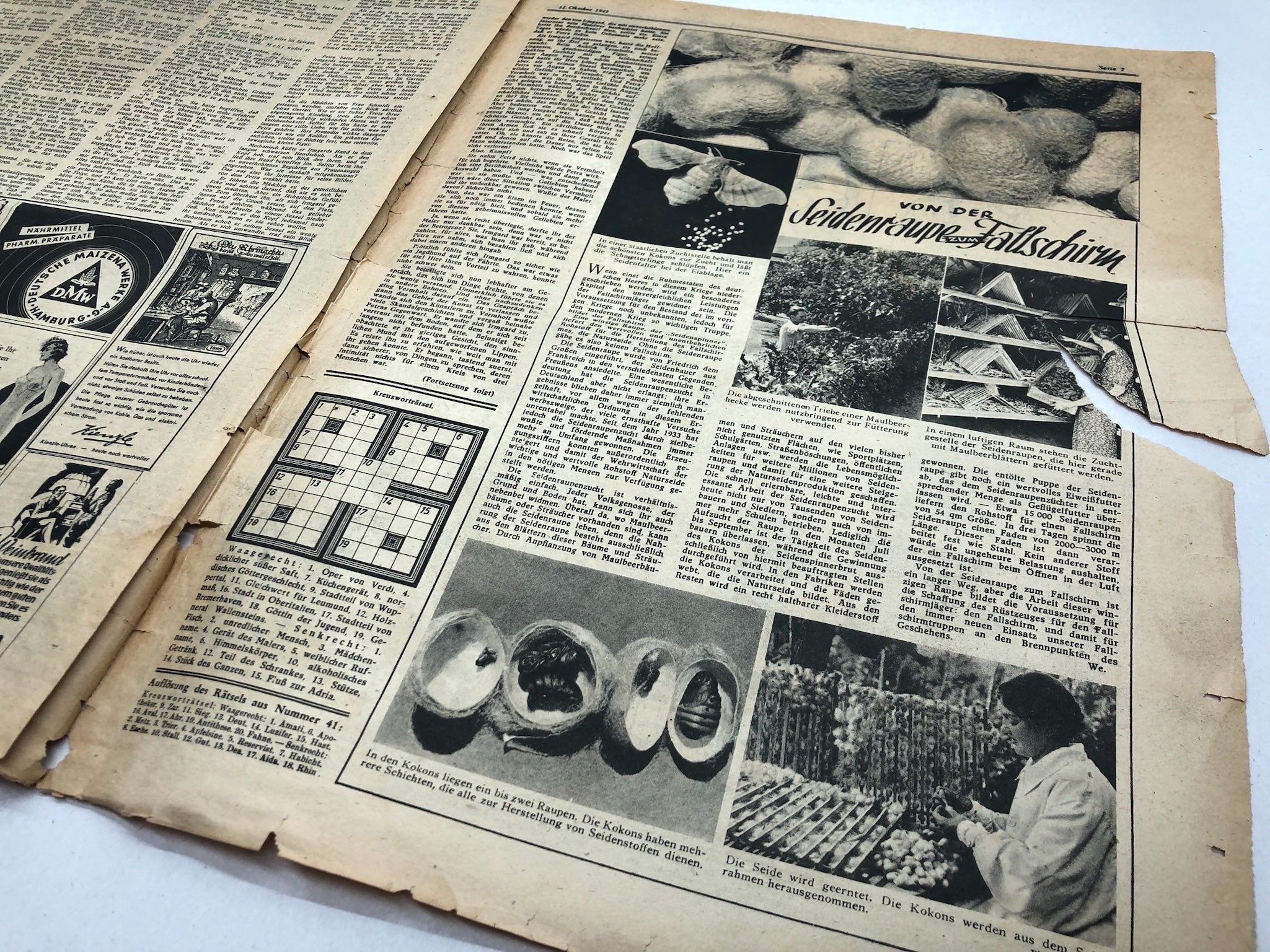 Original WW2 German Political Newspaper - 12th October 1943 - The Militaria Shop