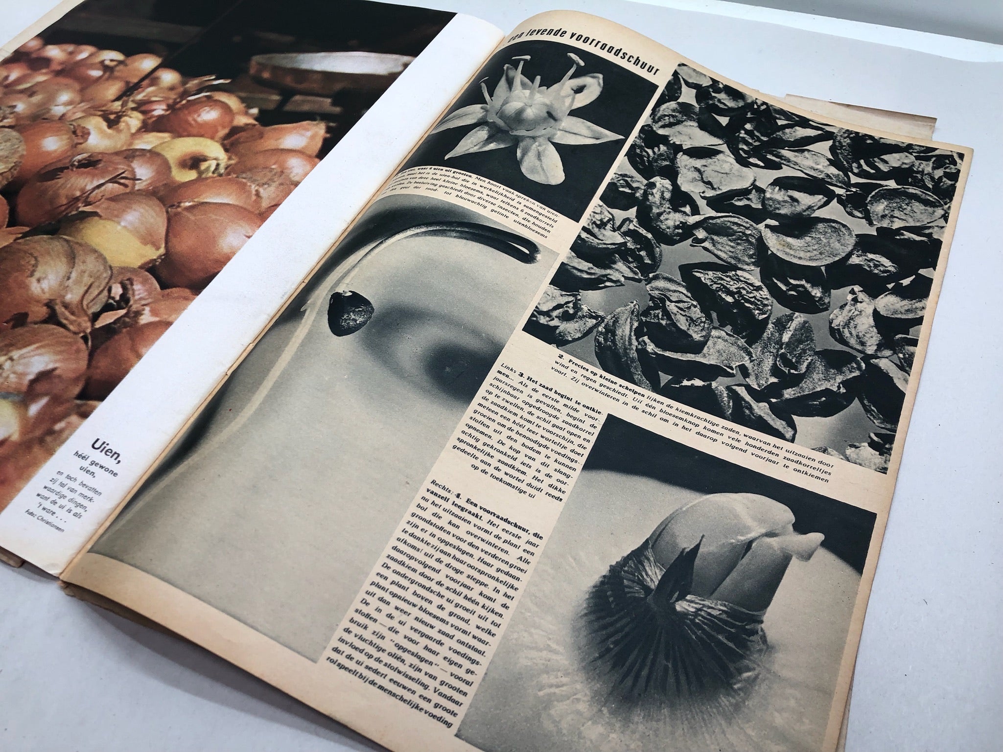 Original Dutch Language WW2 Propaganda Signaal Magazine - No.11 1941 - The Militaria Shop