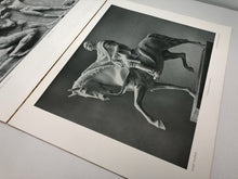 Charger l'image dans la galerie, Original WW2 German Art Magazine Die Kunst im Deutschen Reich - July/August 1943
