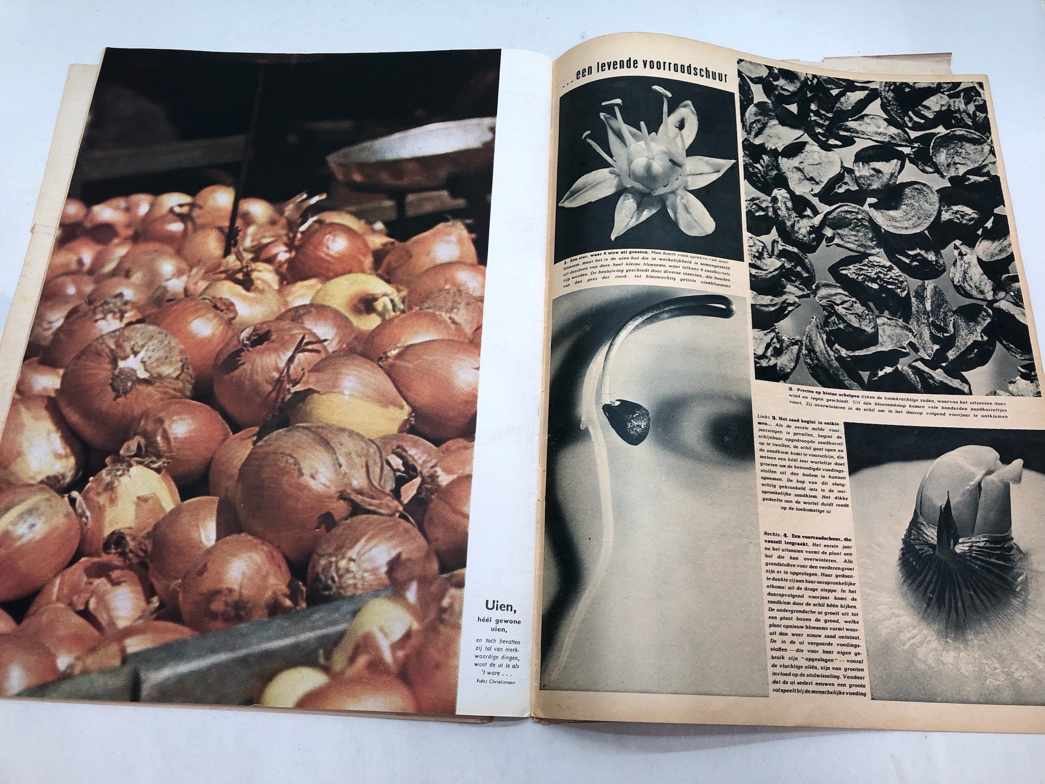 Original Dutch Language WW2 Propaganda Signaal Magazine - No.11 1941 - The Militaria Shop