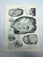 JB Juustrierter Beobachter NSDAP Magazine Original WW2 German - 3rd June 1943 - The Militaria Shop