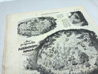 JB Juustrierter Beobachter NSDAP Magazine Original WW2 German - 3rd June 1943 - The Militaria Shop