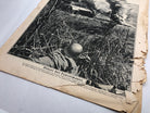 Original WW2 German Political Newspaper - 19th October 1943 - The Militaria Shop
