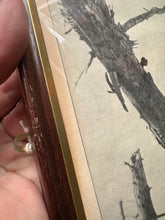 Load image into Gallery viewer, Original WW2 German Newspaper Magazine Framed for Display

