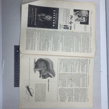 Load image into Gallery viewer, JB Juustrierter Beobachter NSDAP Magazine Original WW2 German - 25th July 1940
