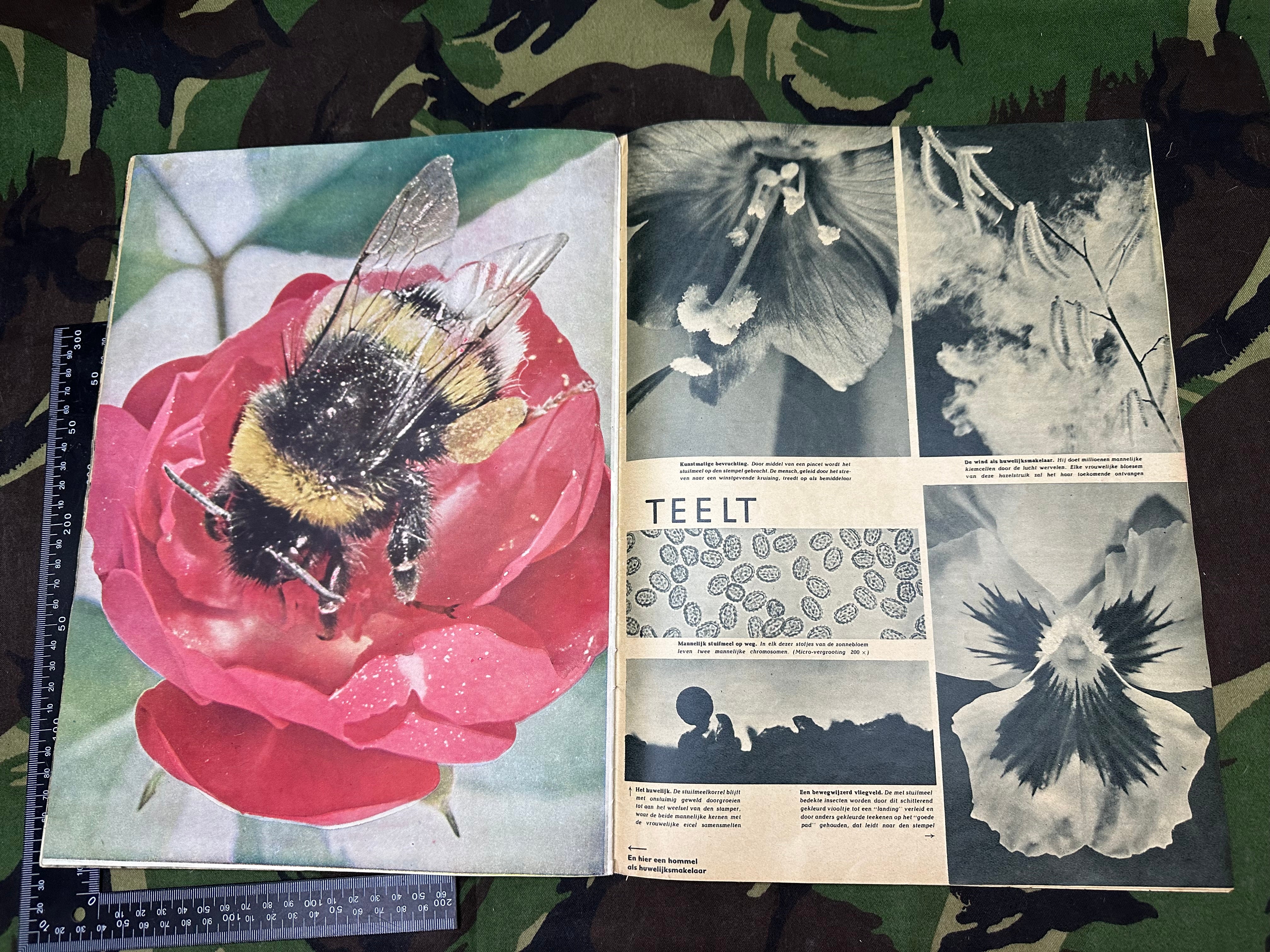 Original WW2 German Signaal Propaganda Magazine - 1st May 1942 - The Militaria Shop