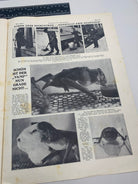 JB Juustrierter Beobachter NSDAP Magazine Original WW2 German - 22nd February 1940 - The Militaria Shop