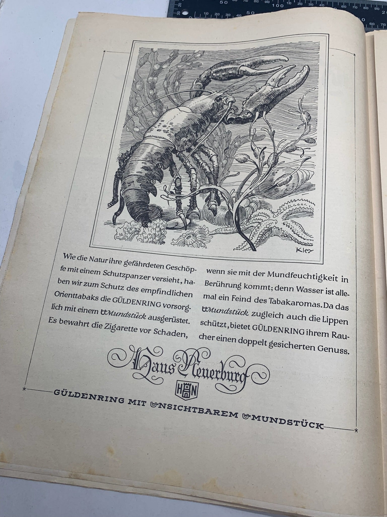 JB Juustrierter Beobachter NSDAP Magazine Original WW2 German - 16th January 1941 - The Militaria Shop