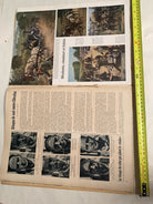 Original French Language WW2 German Signal Magazine - August 1940 - The Militaria Shop