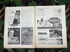 JB Juustrierter Beobachter NSDAP Magazine Original WW2 German - 15th August 1940 - The Militaria Shop