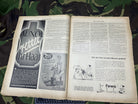 Original WW2 German Berlin Illustrated Political Newspaper - 24th October 1940 - The Militaria Shop