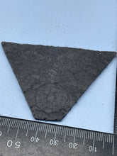 Load image into Gallery viewer, WW2 German Luftwaffe Cap Insignia
