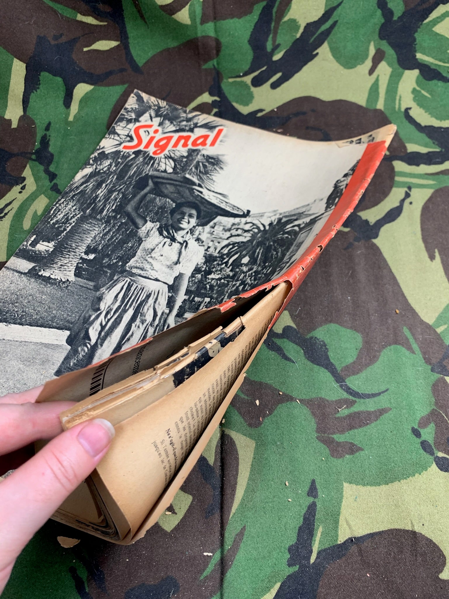 Original WW2 German Signal Magazine - January 1942 - The Militaria Shop