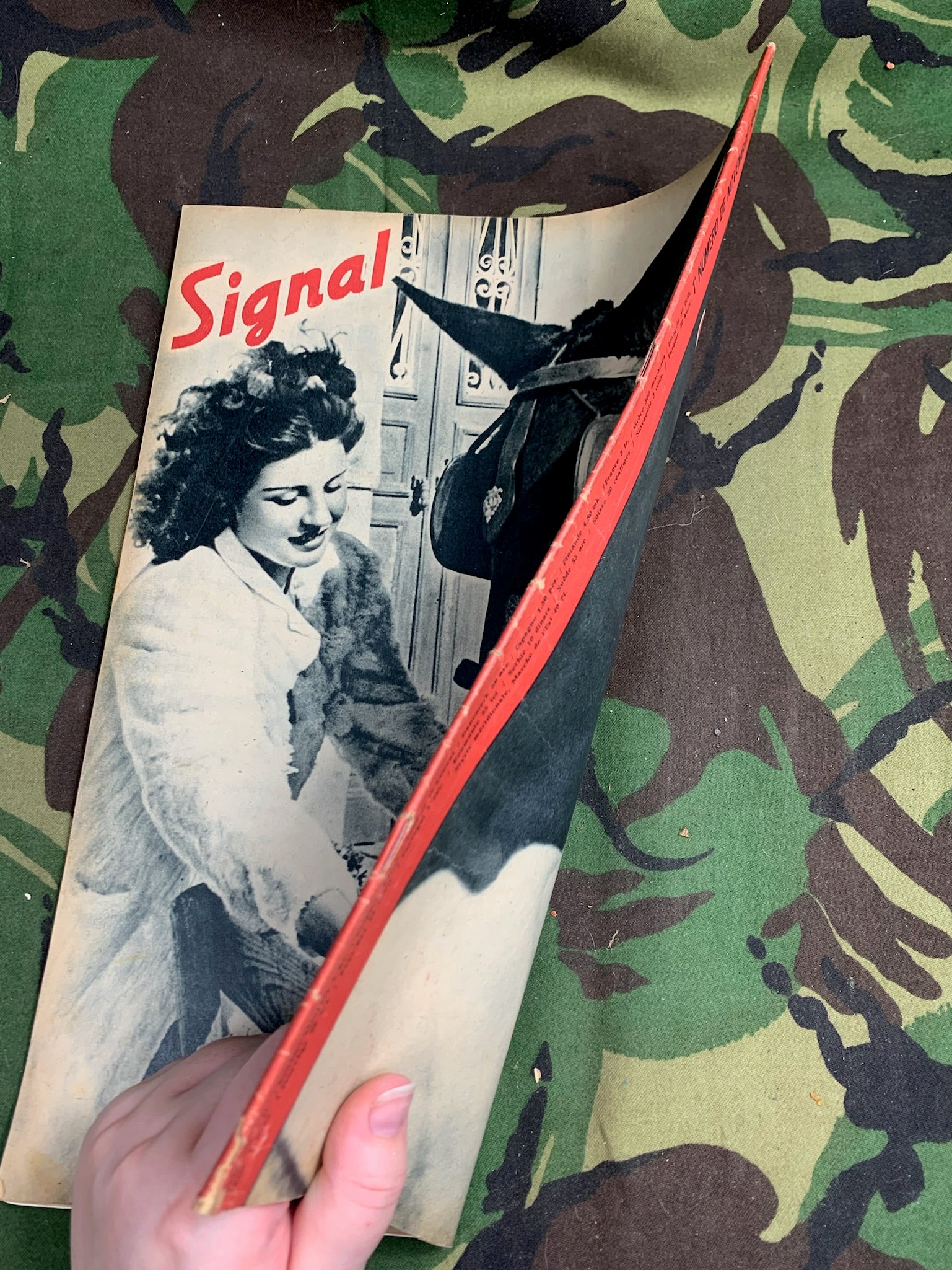 Original WW2 German Signal Magazine - November 1943 - The Militaria Shop