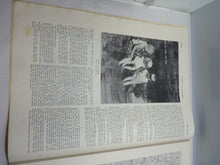 Load image into Gallery viewer, JB Juustrierter Beobachter NSDAP Magazine Original WW2 German - 23rd May 1939
