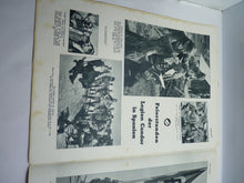 Load image into Gallery viewer, JB Juustrierter Beobachter NSDAP Magazine Original WW2 German - June 1939
