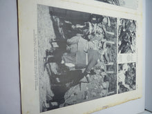 Load image into Gallery viewer, JB Juustrierter Beobachter NSDAP Magazine Original WW2 German - 8th June 1939
