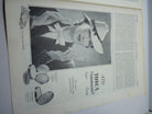 JB Juustrierter Beobachter NSDAP Magazine Original WW2 German - 22nd June 1939 - The Militaria Shop