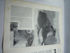 JB Juustrierter Beobachter NSDAP Magazine Original WW2 German - 29th June 1939 - The Militaria Shop
