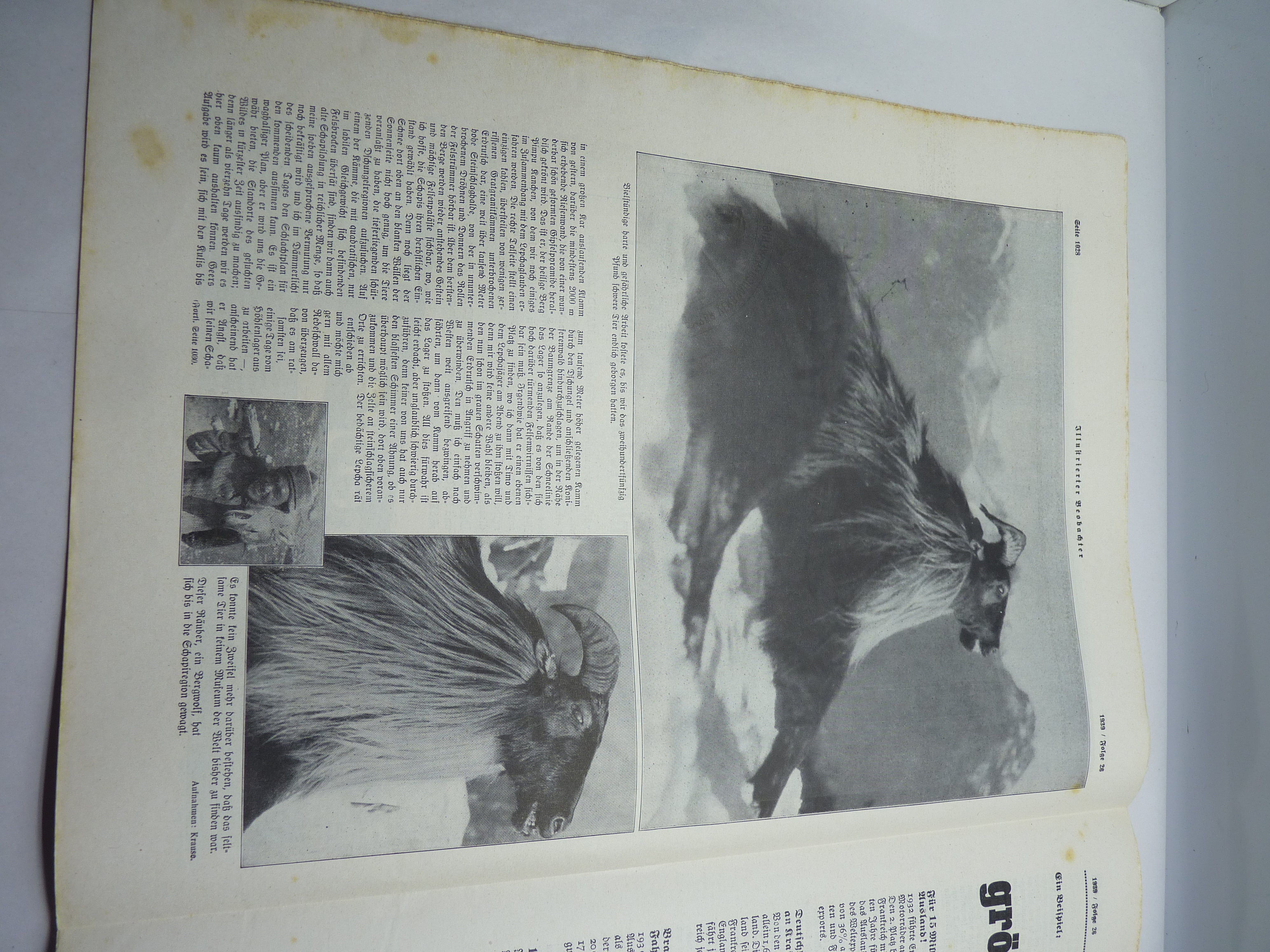 JB Juustrierter Beobachter NSDAP Magazine Original WW2 German - 29th June 1939 - The Militaria Shop
