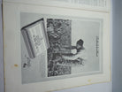 JB Juustrierter Beobachter NSDAP Magazine Original WW2 German - 13th July 1939 - The Militaria Shop