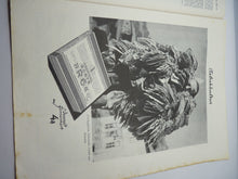 Load image into Gallery viewer, JB Juustrierter Beobachter NSDAP Magazine Original WW2 German - 27th July 1939
