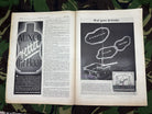 JB Juustrierter Beobachter NSDAP Magazine Original WW2 German - 15th August 1940 - The Militaria Shop