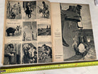 Original French Language WW2 German Signal Magazine - April 1942 - The Militaria Shop