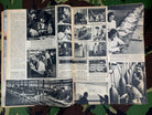 Original WW2 German Signal Magazine - May 1943 - The Militaria Shop