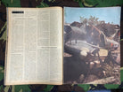 Original WW2 German Signal Magazine - No.6 1944 - The Militaria Shop