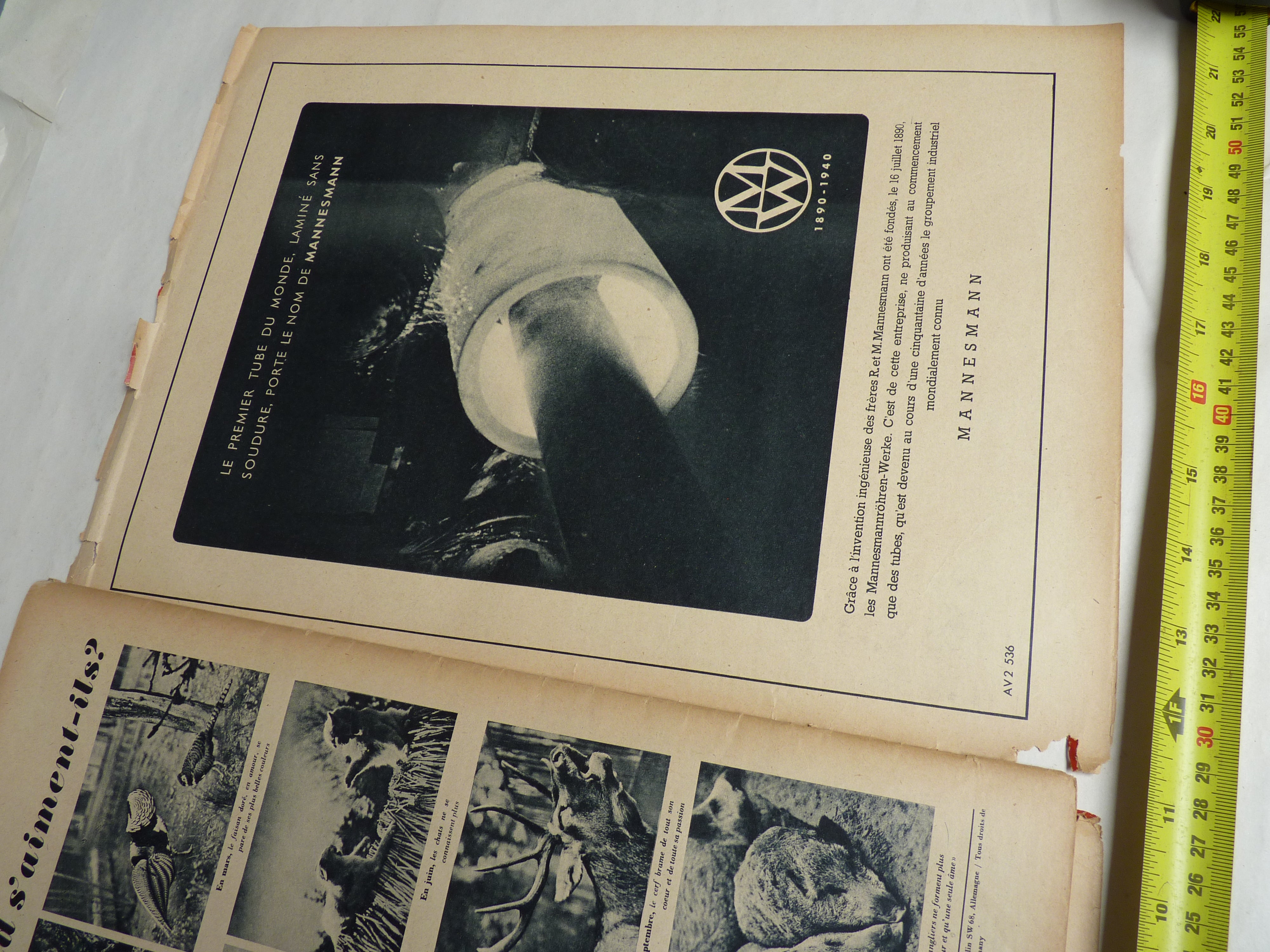 Original WW2 German Signal Magazine - October 1940 - The Militaria Shop
