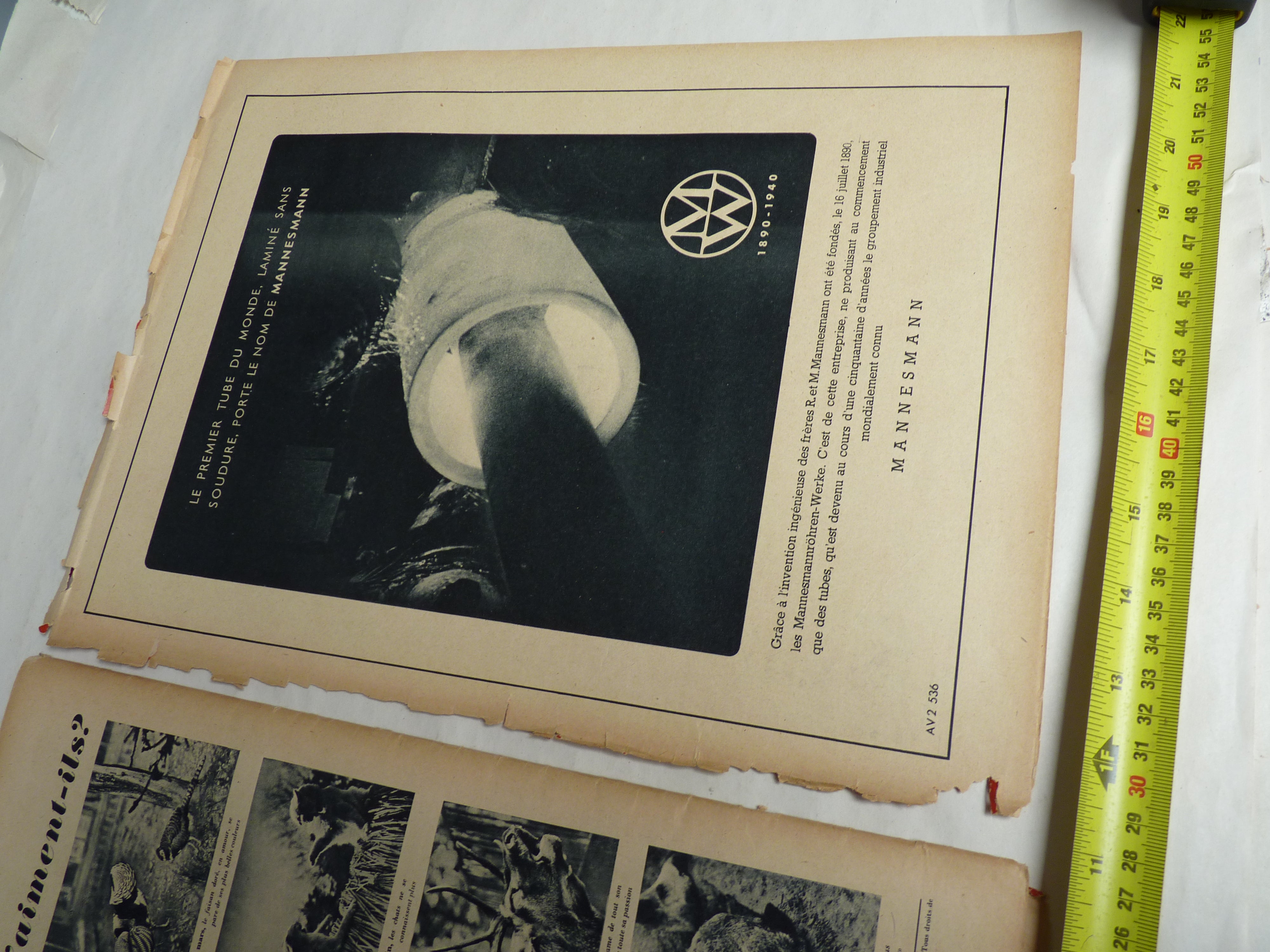 Original WW2 German Signal Magazine - October 1940 - The Militaria Shop