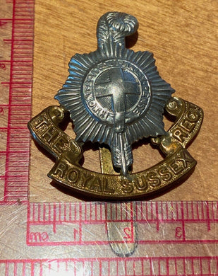 WW1 / WW2 THE ROYAL SUSSEX REGIMENT white metal and brass cap badge - - B20 - The Militaria Shop