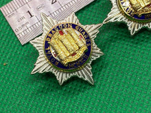 Charger l&#39;image dans la galerie, Original British Army ROYAL DRAGOON GUARDS - Pair of Collar Badges
