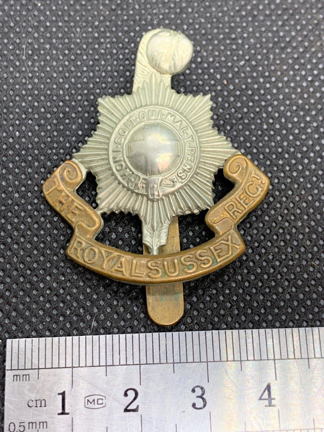 Original WW2 British Army Royal Sussex Regiment Brass Cap Badge