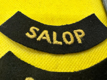 Lade das Bild in den Galerie-Viewer, Original WW2 British Home Front Civil Defence Salop Shoulder Titles
