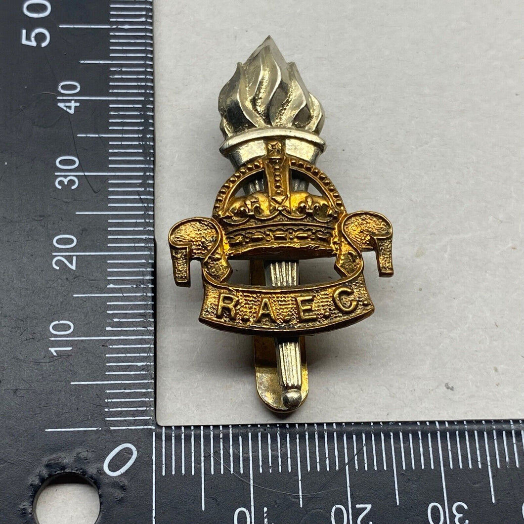 WW1 / WW2 British Army Royal Army Education Corps White Metal & Brass Cap Badge