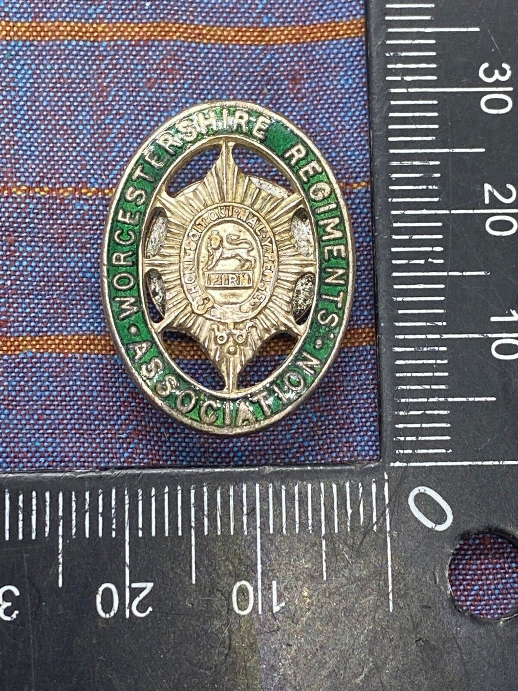 Original The Worcestershire Regiment Association Lapel Badge