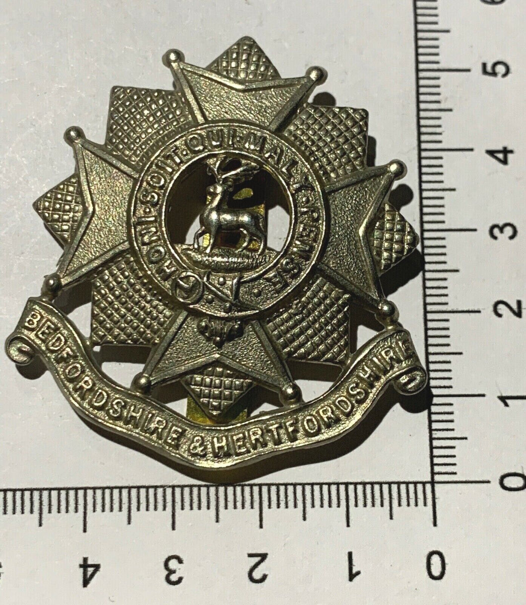 A WW1 / WW2 British Army BEDFORDSHIRE & HERTFORDSHIRE white metal cap badge