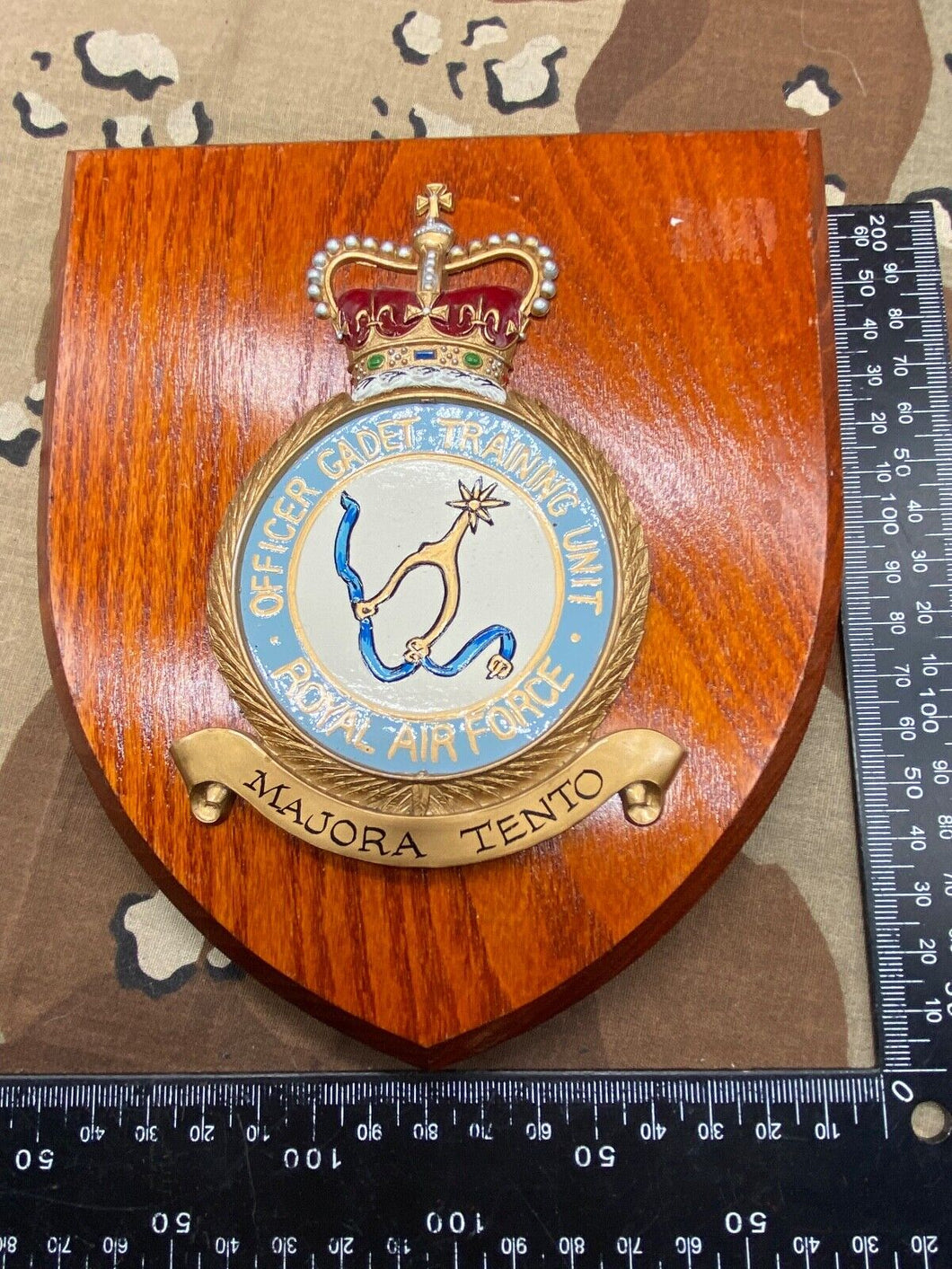 British Royal Air Force RAF Officer Cadet Training Unit Wall Plaque