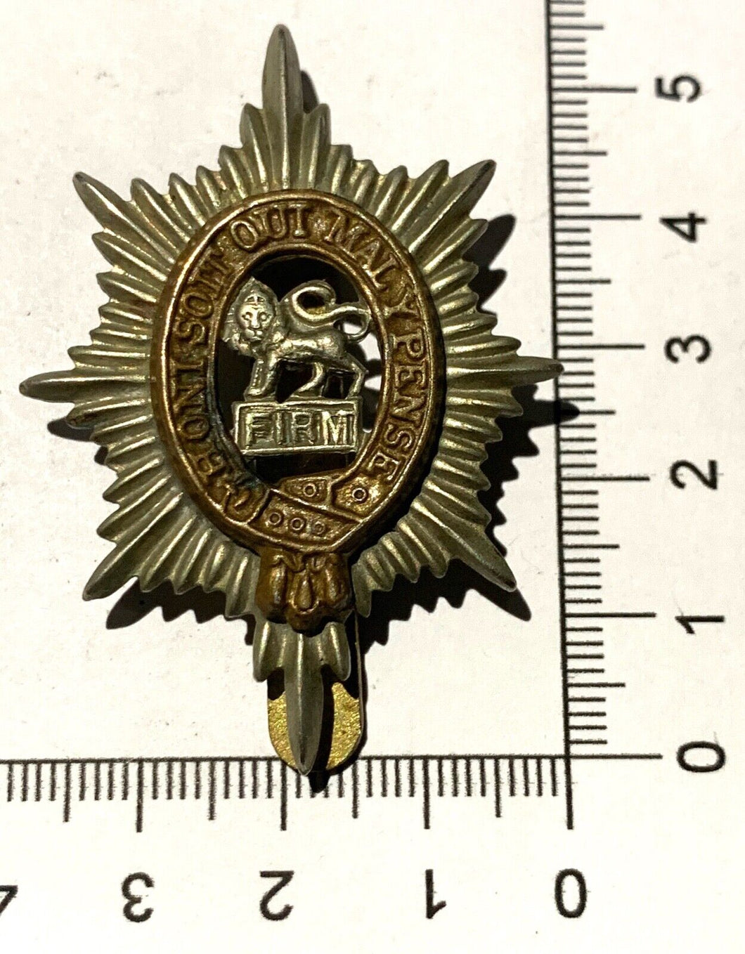 A WW1 / WW2 British Army WORCESTERSHIRE REGIMENT brass / wm cap badge