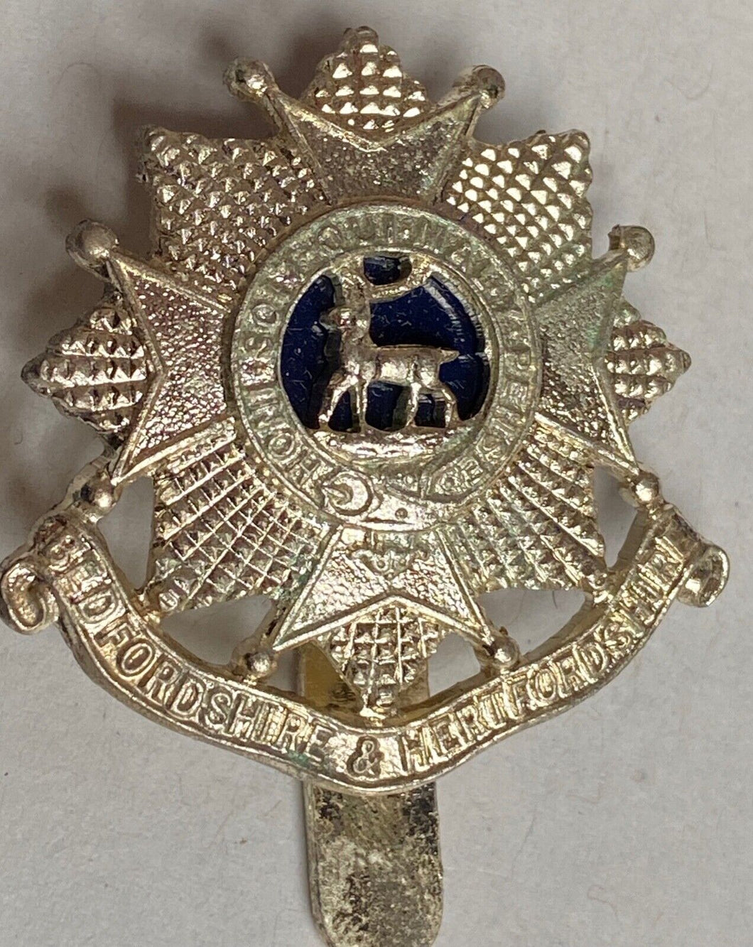 A white metal British Army Bedfordshire & Hertfordshire Regiment cap badge.