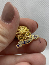 Lade das Bild in den Galerie-Viewer, North Staffordshire - NEW British Army Military Cap / Tie / Lapel Pin Badge (#9)
