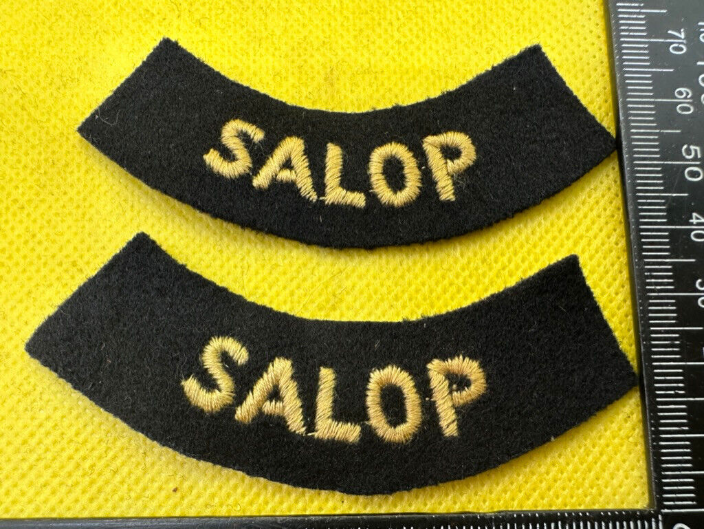 Original WW2 British Home Front Civil Defence Salop Shoulder Titles