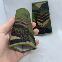 Load image into Gallery viewer, Mercian ACF DPM Rank Slides / Epaulette Pair Genuine British Army - NEW
