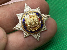 Load image into Gallery viewer, Original British Army ROYAL DRAGOON GUARDS - Pair of Collar Badges
