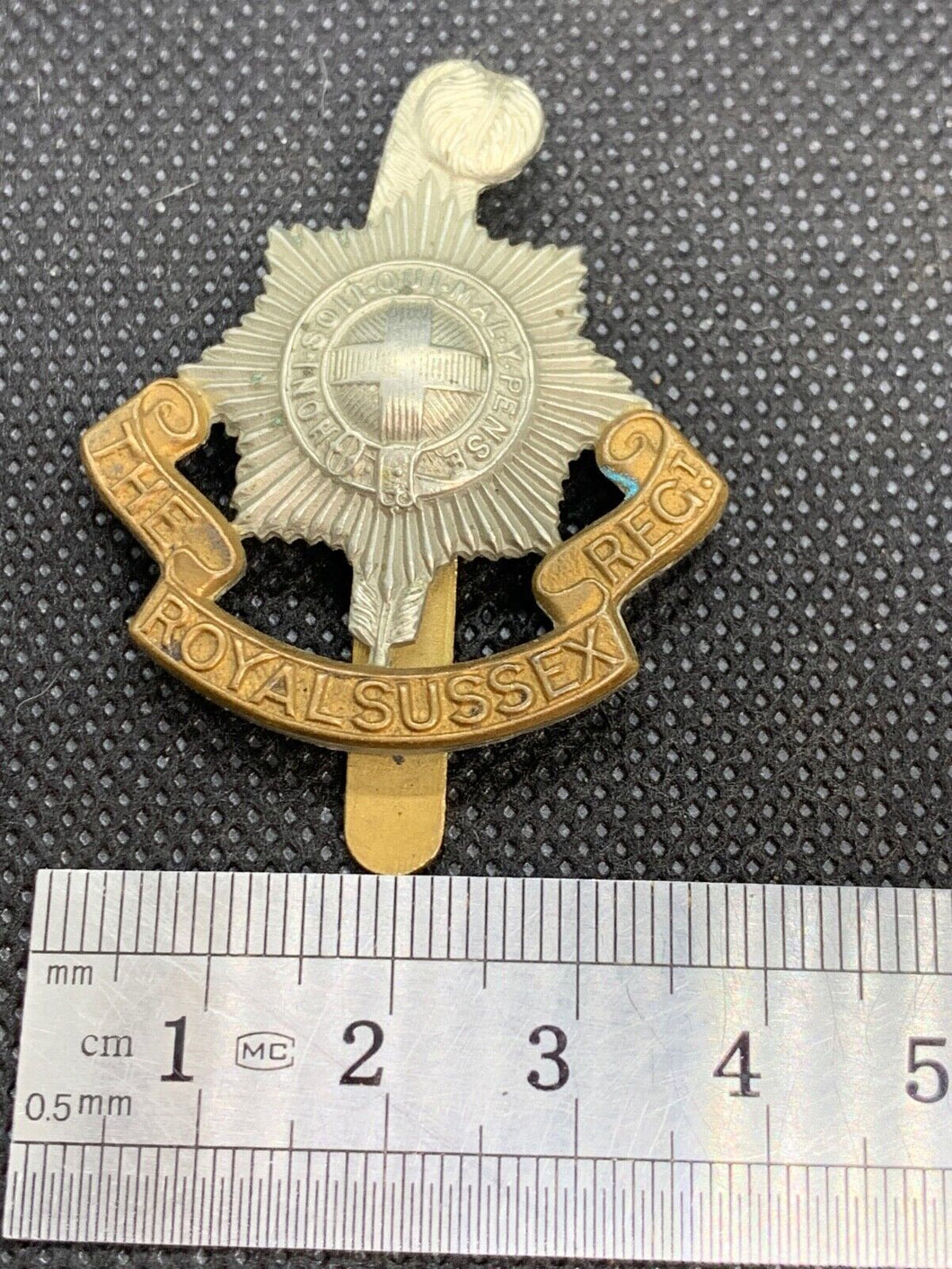 Original WW2 British Army Royal Sussex Regiment Brass Cap Badge